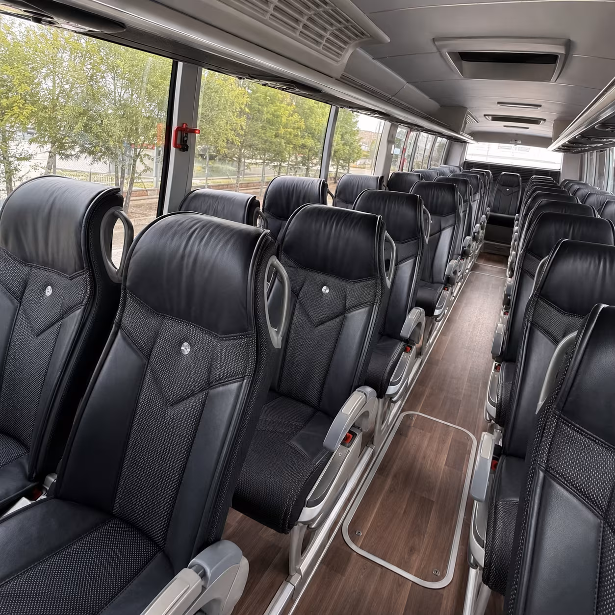 blog rent a bus to connecticuts beardsley zoo hero